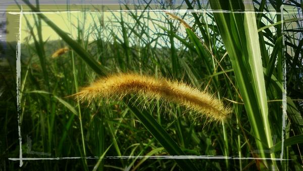 ijun79's tweet photo. Via PicsArt #picsart #photography #android http://t.co/TYp9nunE