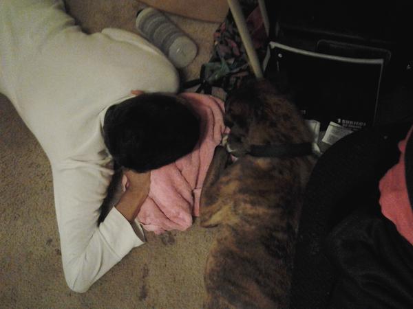 iamnandimusic's tweet image. They Are too much alike . #Cousin #MyDog #SameBreed #Loveeerrs ♥