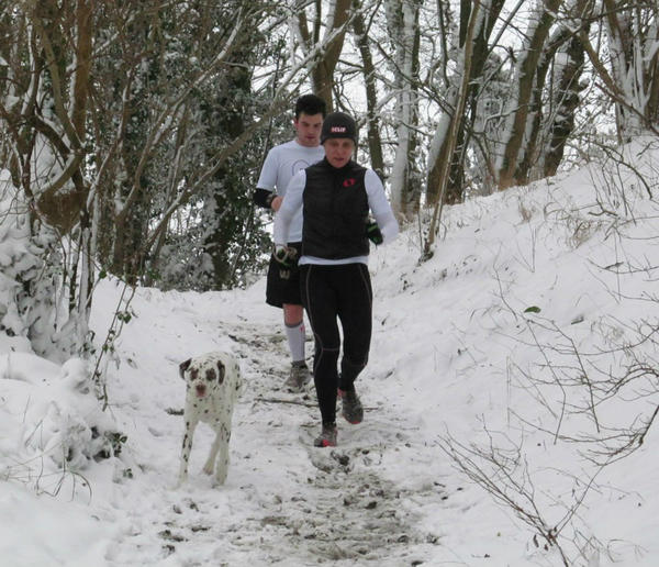 HamiltonTheDog tweet media