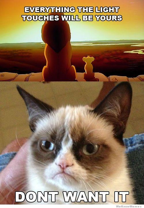 grumpy cat meme lion king