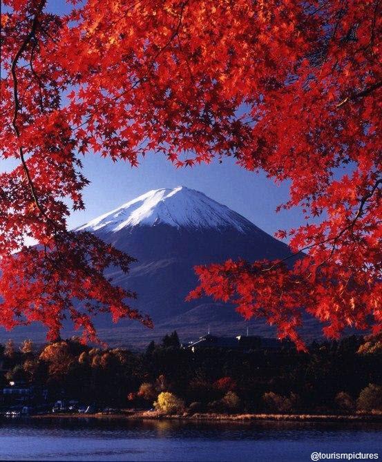 FatmaOday's tweet photo. "@GoTravel77: “@tourismpictures: جبل فوجي، واليابان http://t.co/RjnY8oAg8u”"