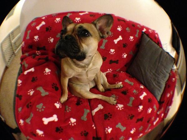 DolceBabes's tweet photo. Now I don't feel good =[ http://t.co/lZV6mw2z