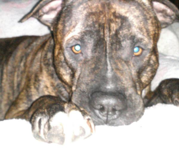 Last' Kings'·♥ (@Stephanie_Riser) | Twitter