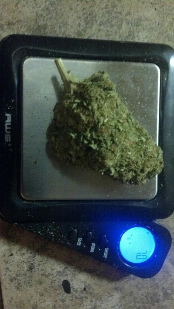 7 gram nug of lemon haze. <a href="/stoner_stuff/">Stuff Stoners Like</a>