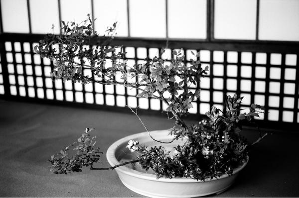 D.J. Dada tweet media