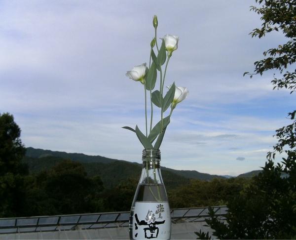 D.J. Dada tweet media