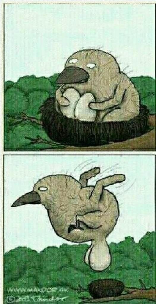 Warning_DRIP's tweet image. ㅋㅋㅋㅋㅋㅋㅋㅋㅋ "@melonjam97: @Warning_DRIP http://t.co/umi6zBtc"