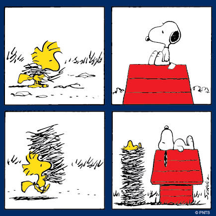 wallpapers Thursday Snoopy And Woodstock peanuts on twitter thursday morning