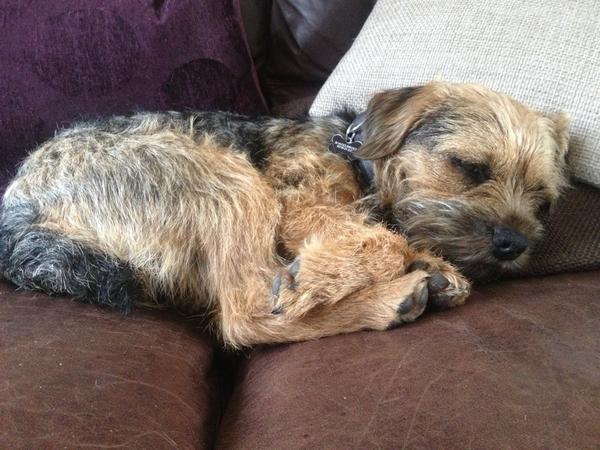 brightsparky82's tweet photo. @BorderTJake #zzzzzzzzzzzzzz http://t.co/BoXKiuPG