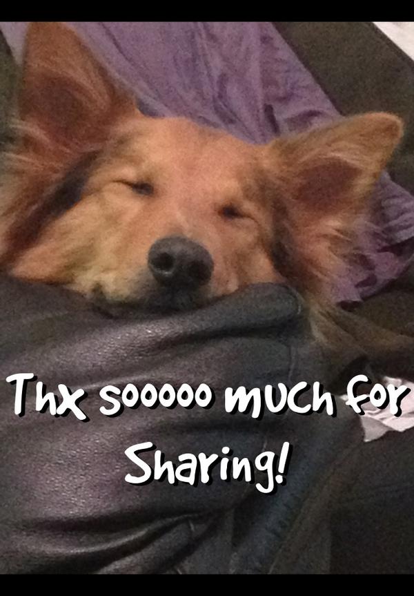 <a href="/FMSPCA/">Fort McMurray SPCA</a>: Thanks to everyone for sharing!  WE ARE FULL &amp; IN DESPERATE NEED OF FOSTERS #ymm #PawsUp (780) 743-8997