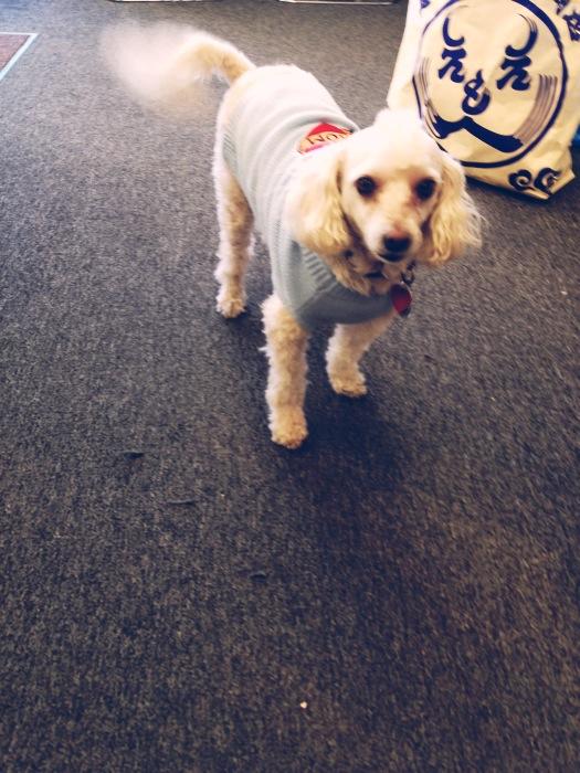 CEconsignment's tweet image. Your #dailydose of #brianstark !!