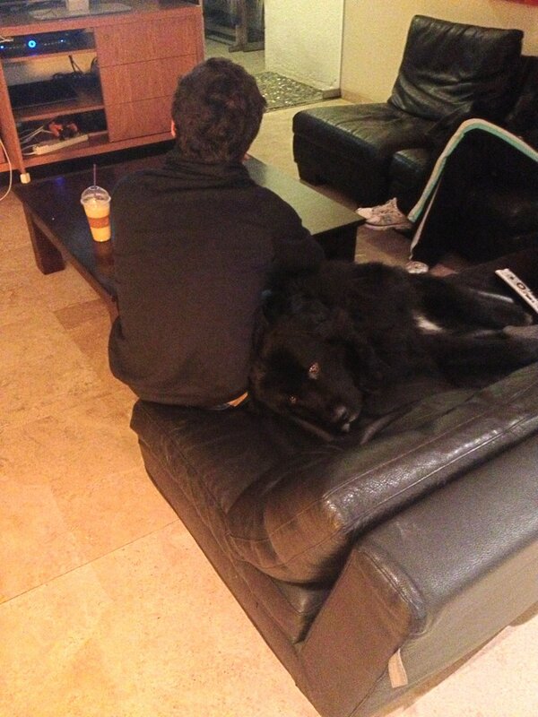 paukohn's tweet photo. Jajajajajajajajj @pololeyvaf http://t.co/d8rnqdXE