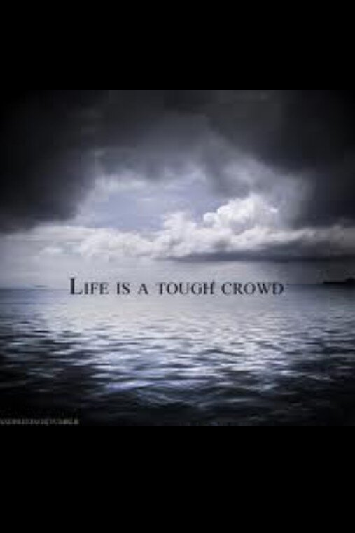 LesbianNeensM's tweet photo. Life is a tough crowd.
-Taylor Swift http://t.co/DCMV7m4z