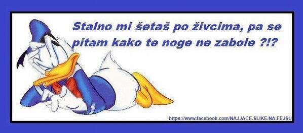 ndoder06's tweet image. 