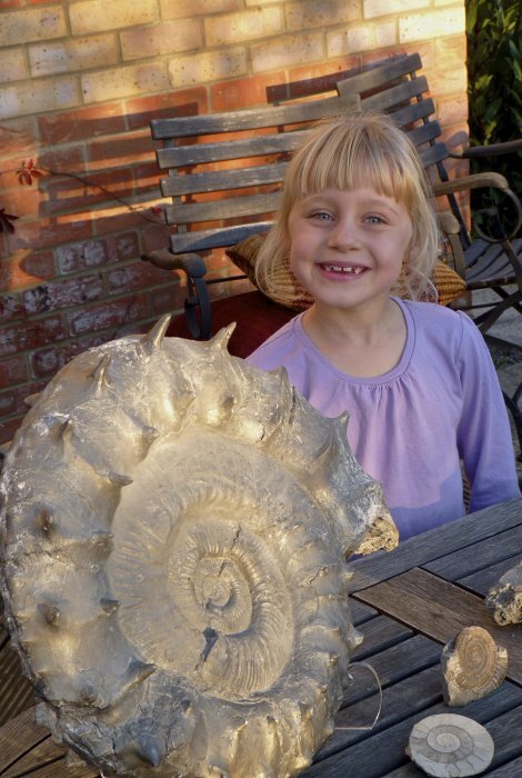 LMNOTV's tweet photo. What an amazing find! #LostandFound http://t.co/3wVhCDF0