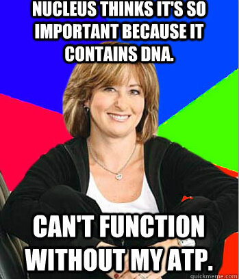MMitochondriay's tweet photo. @NUCLEUScake OH YEAH. We went there. #umadbro #organelleelection2013 #AHS #cantlivewithoutus http://t.co/VcTO6QEM