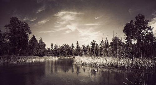 JerricaRebel's tweet image. Is it a crime, to fight, for what is mine? #IdleNoMore #canada #FirstNationLand