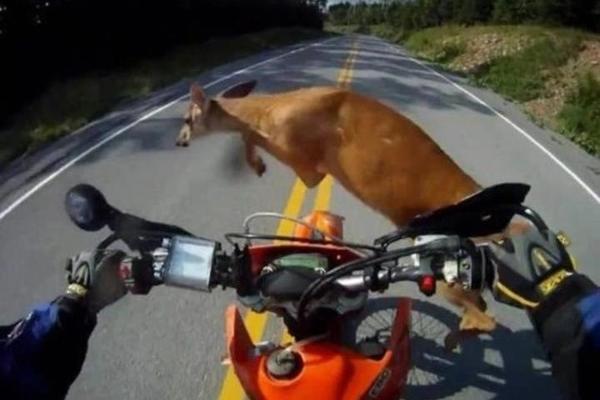 gremiumlatino's tweet photo. #BikerOrNot.com ese precisรณ momento en el que no sabes q mรกs sucediรณ! http://t.co/QQC6jcGs