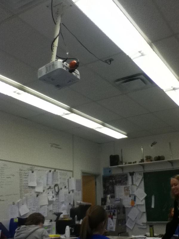 HaileyShewchuk's tweet image. Apple ... #Confuzzled #HowThe #MadeMyDay