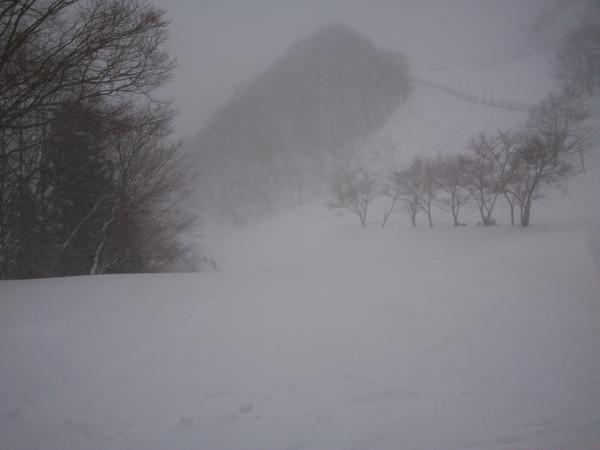 itao0824's tweet photo. やっぱり吹雪 http://t.co/9sP72N1l