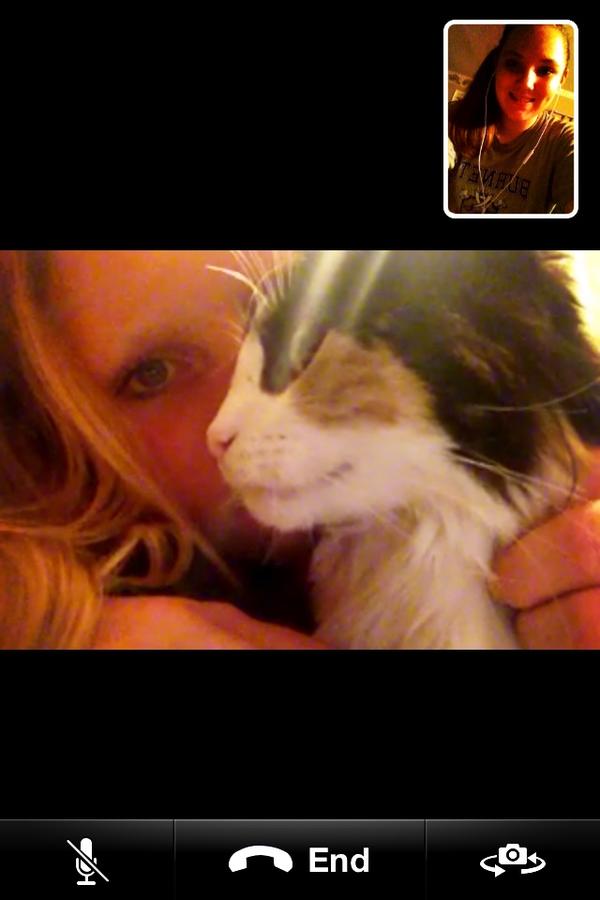 Face timing the bestfriend and her cat😘😍❤
#ShesACatLady