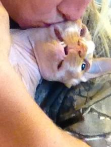 Fannypackcats's tweet photo. STOP THAT http://t.co/z8JHwMku