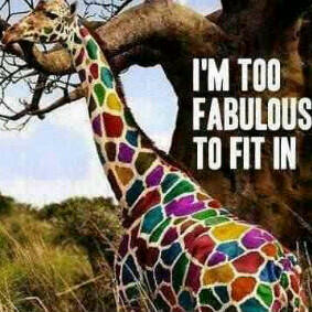 SimonevdMerwe tweet picture