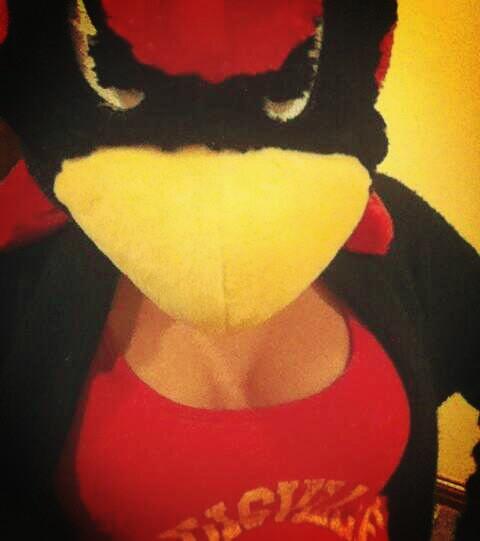 collegeboobs's tweet photo. Today I saw #SchoolSpirit on a whole new level.  Today's fan of the day is from @UofLBoobs  Amazing #SupportTheBoobment http://t.co/aU8qe6pX