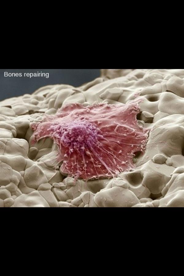 dadsburneraccnt's tweet image. Just thought you'd like to see what's going on down on the foot of yours #hartnellup