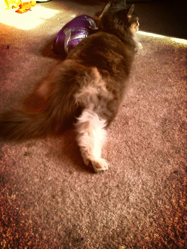 DaleySpecter's tweet image. 