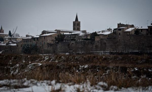 Jane Applegate🌺 tweet media