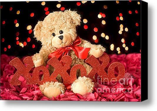 DollyGPhoto's tweet photo. New artwork for sale! - "Teddy xoxo" - http://t.co/QNeLpbO0 @fineartamerica http://t.co/ak2zygj3
