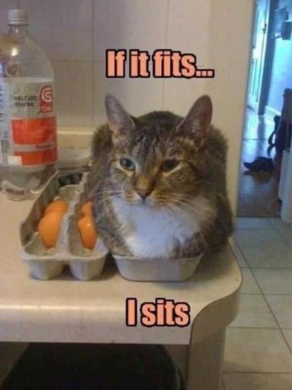 catcalledthomas's tweet image. Yep.