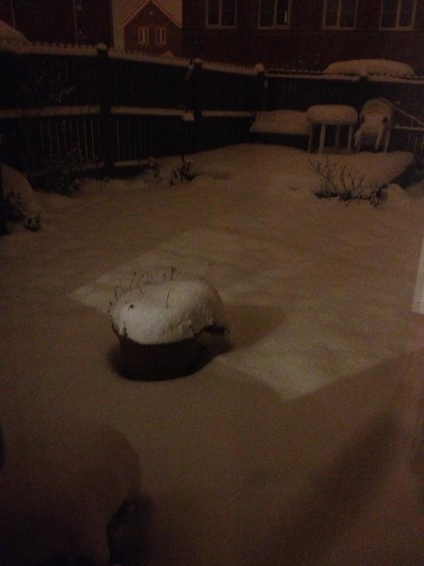 lianebidgood's tweet image. Ahhh snow stop following me #snowedoff