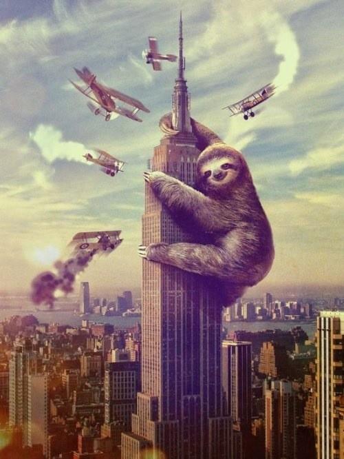 Bapple2k's tweet photo. @ColbyInboden sloth zilla will always cheer you up http://t.co/0HhRafiE