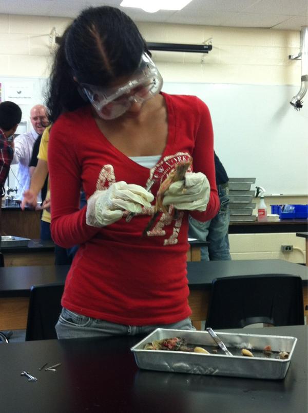 CharronScience's tweet image. Now here's a true model student hard at work.