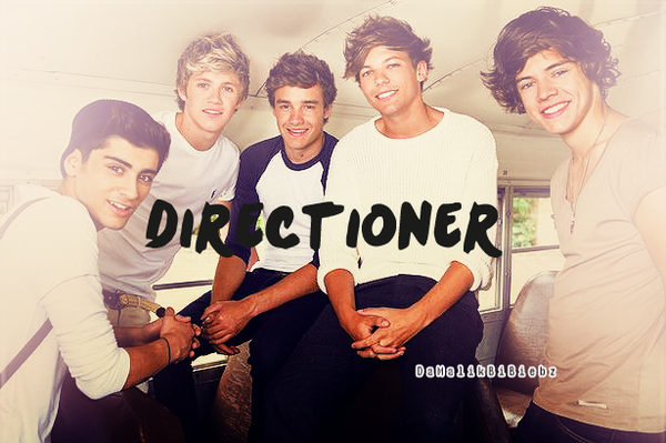 izmalikarmy's tweet photo. RT if you're a Directioner and i will follow you back :) http://t.co/HqvUZekQ