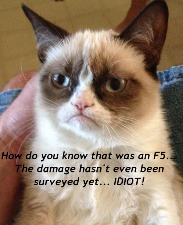 svrwxtweets's tweet image. Grumpy Cat's take on the movie Twister...