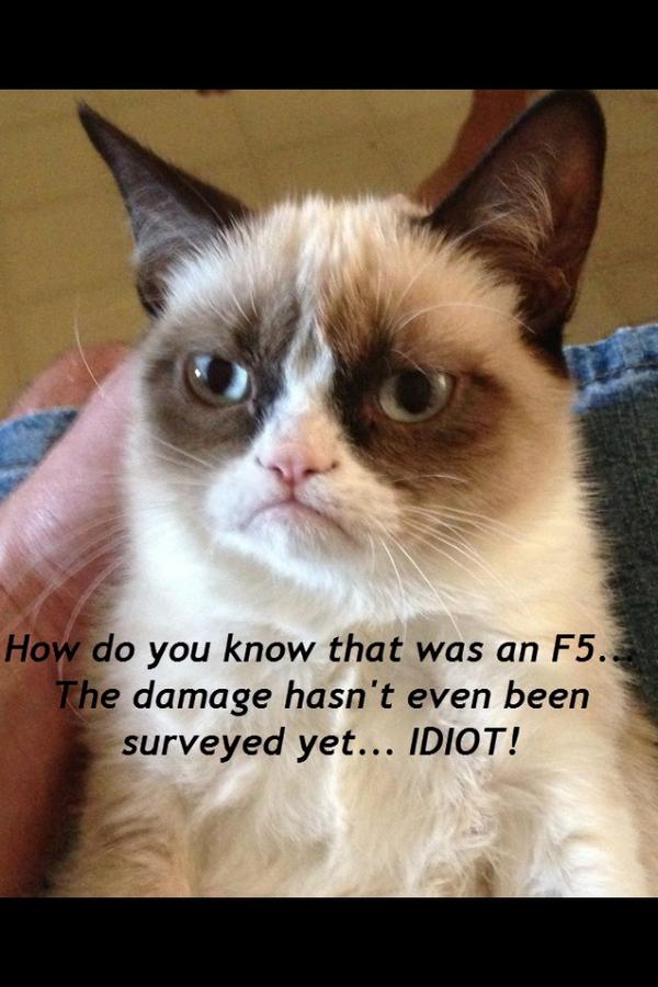 GrumpyCatWx's tweet image. I hate Twister...