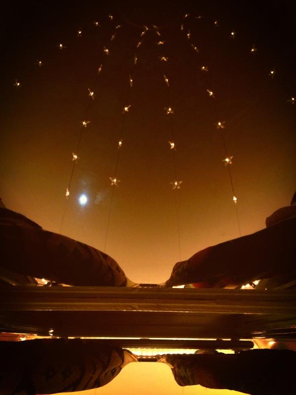 Chelsey Greene tweet media