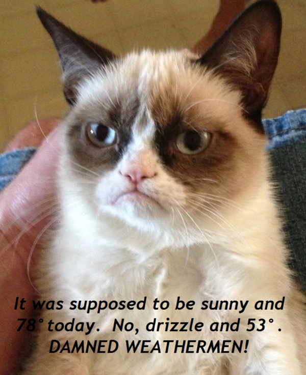 GrumpyCatWx's tweet image. 