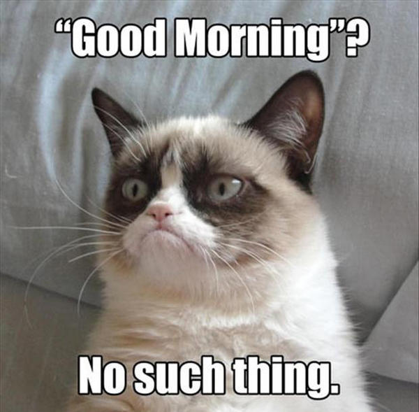TardGrumpyCat's tweet image. #ImSoSickOf poeple saying good morning... there's no such thing as a good morning.