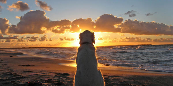 BKucukakca's tweet photo. I am looking forward to summer!.. http://t.co/sVzleNOI