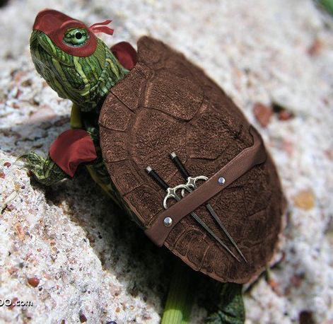 Espaciocooperativo les desea un muy buen sábado, aprovechen este día soleado para salir con sus mascotas de paseo.