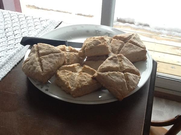 Mattb3rt's tweet photo. made lembas bread :D #LotR #mmm http://t.co/xRS0sO6O