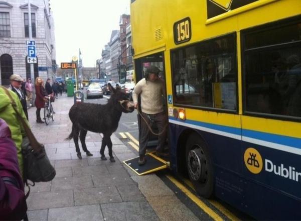 OnlyinEire's tweet photo. http://t.co/epixzuypbI #onlyinEire