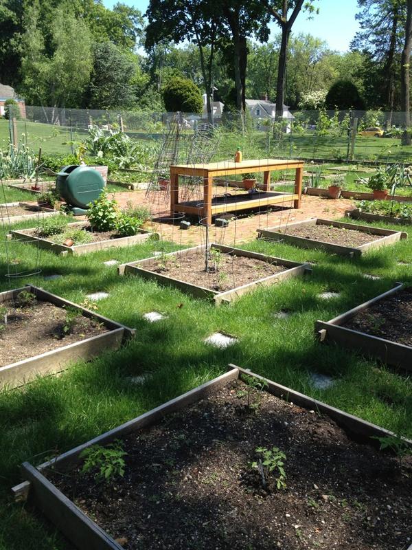 DavidFritz21's tweet photo. @ARabuffo @juiceplus: Garden is great (obviously, nothing growing right now in NY) - check out the picture! http://t.co/kMBKe9ua