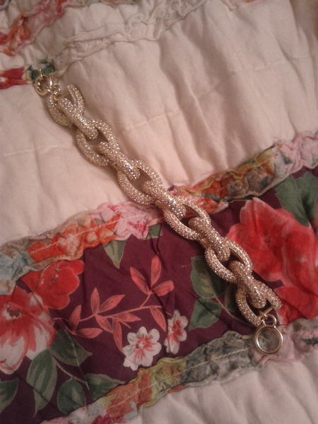 I finally got the blogger bracelet.