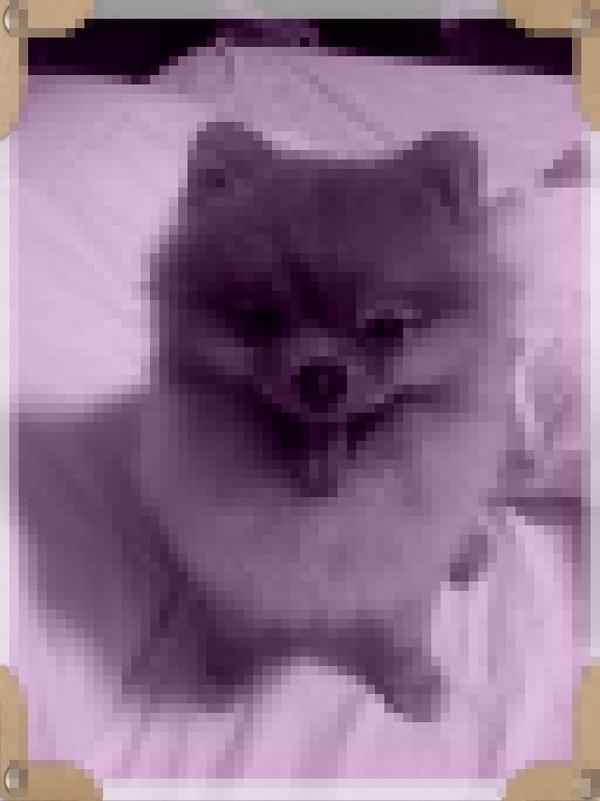 baanseatalay's tweet photo. Hi,i am using Picture Effect Magic share this funny picture!ว http://t.co/lr5By2Ri