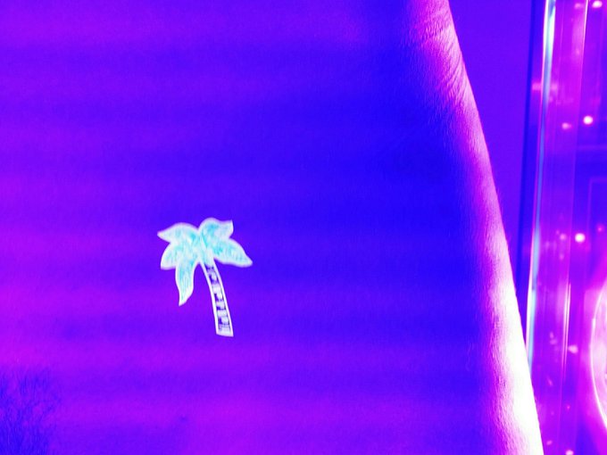 #palmtree #tanning earlier! http://t.co/SDYD0RPg<a href="/tag/palmtree"class="tags">#palmtree</a><a href="/tag/tanning"class="tags">#tanning</a>